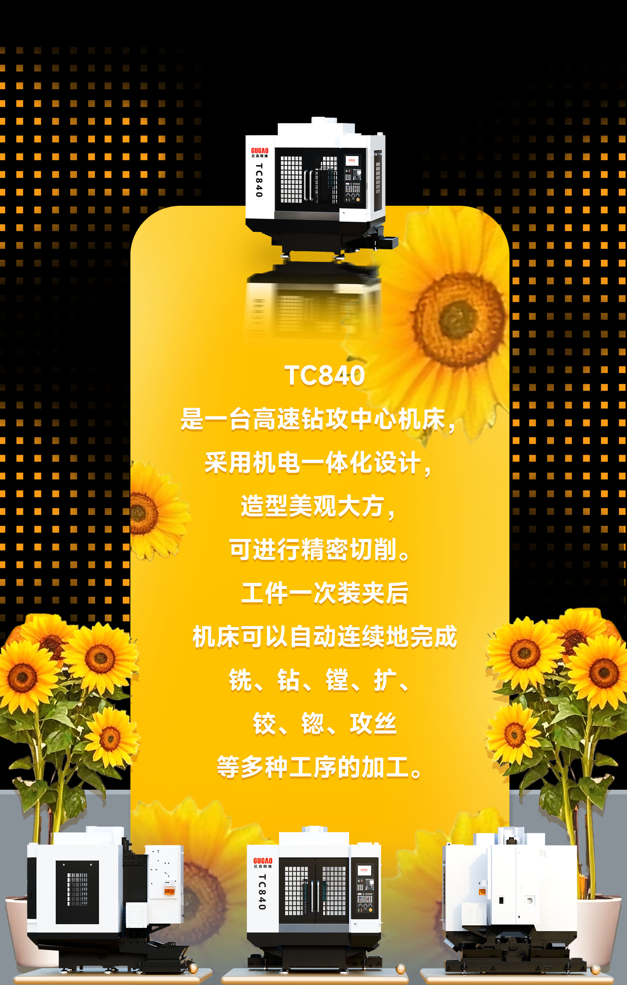 qmh球盟会